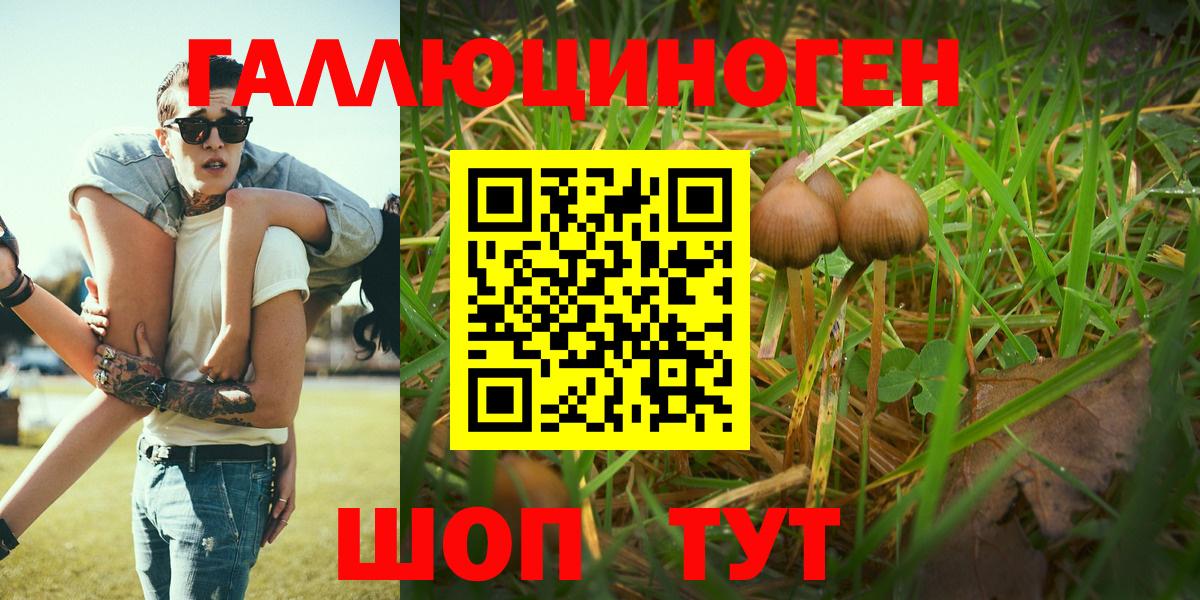 Шахты  Галлюциногенные грибы GOLDEN TEACHER  Вход с VPN 