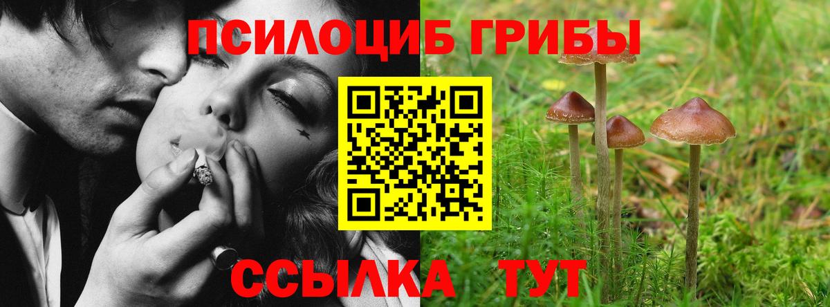Галлюциногенные грибы MAGIC MUSHROOMS Шахты